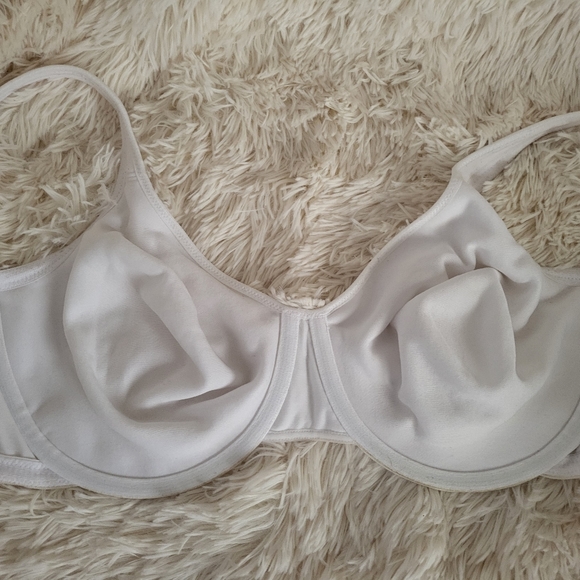 Exquisite Form Bra 42C - Picture 5 of 6